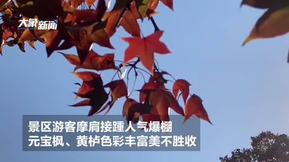 北京香山红叶迎首个周末客流高峰  现场游客摩肩接踵人气爆棚