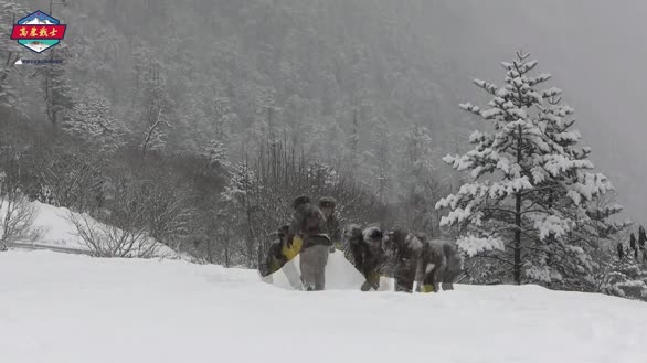 网友：想参与！高原女兵在新年大雪中堆雪人