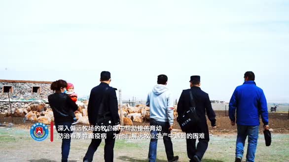 新疆博州：警民共迎“喜羊羊” 精准服务助增收