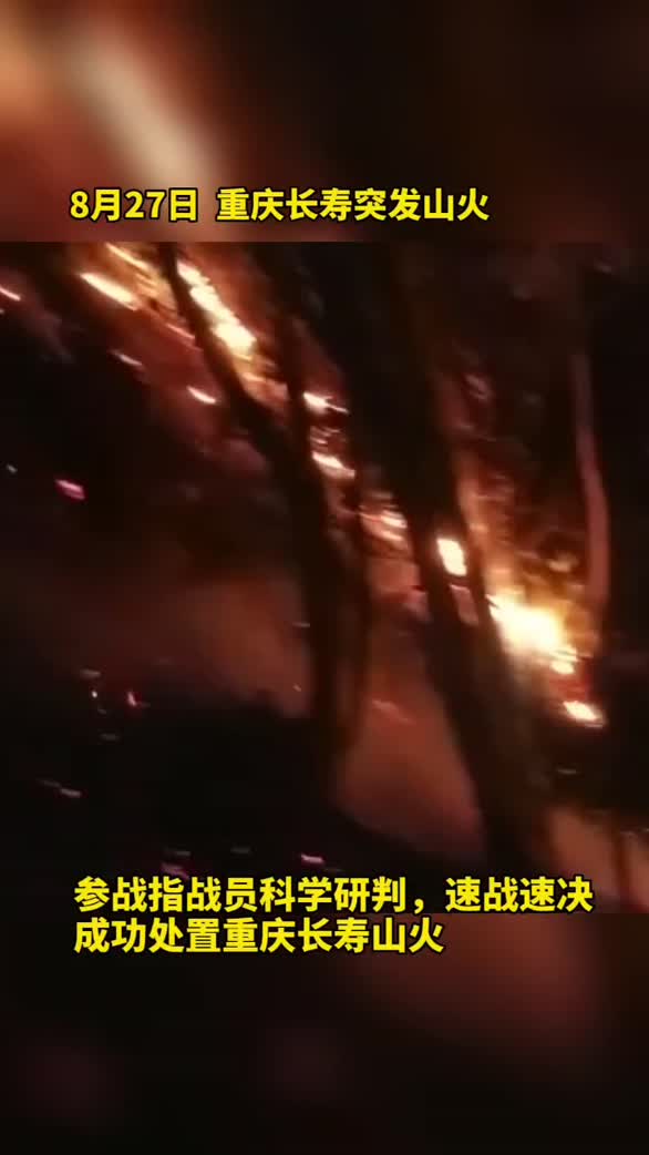 重庆长寿山火：速战速决 成功处置
