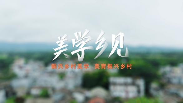深圳：职业技术学院助力乡村振兴项目《美学乡见》